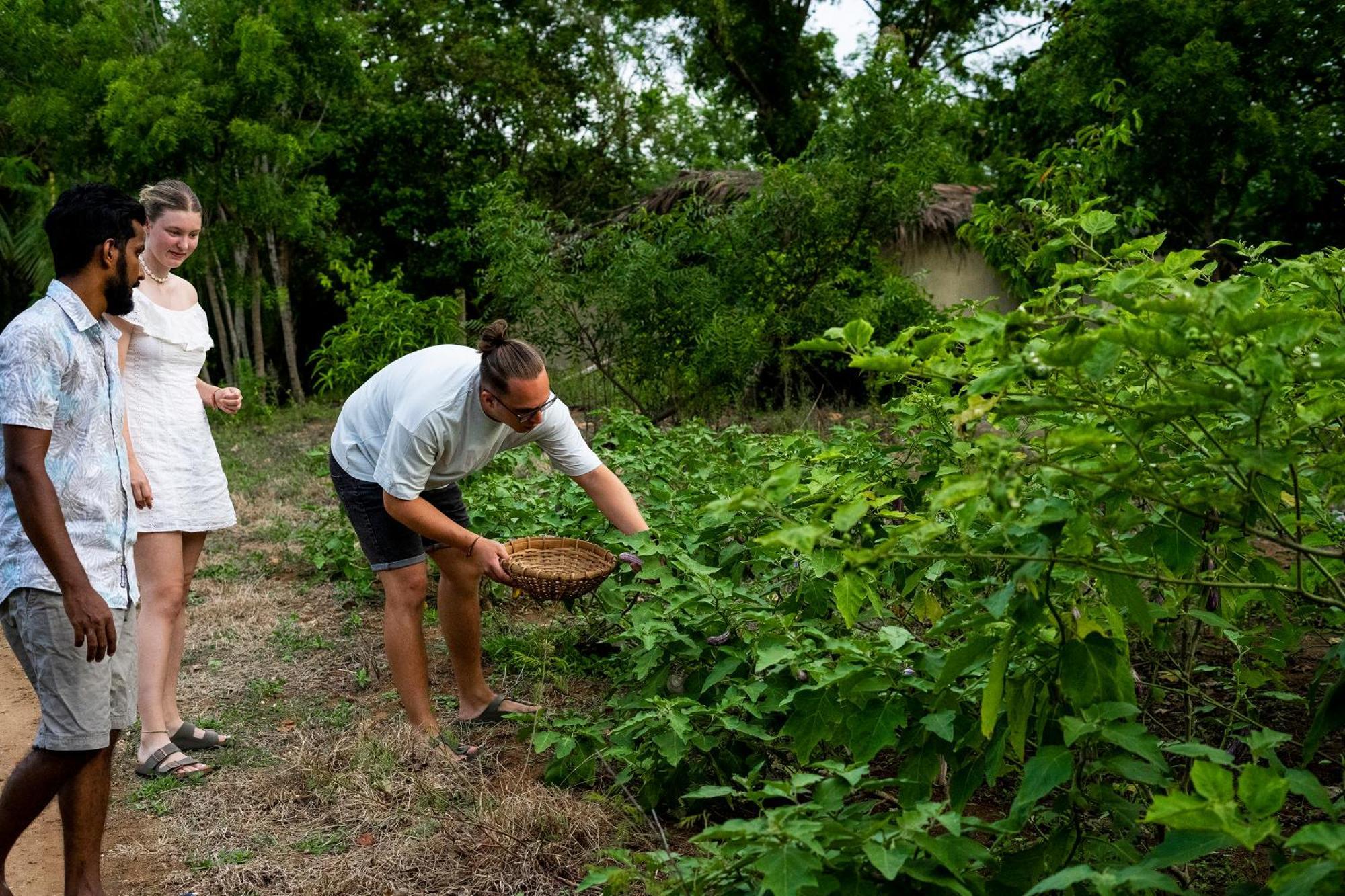 River Paradise Safari House With Cooking Class Udawalawe Ngoại thất bức ảnh