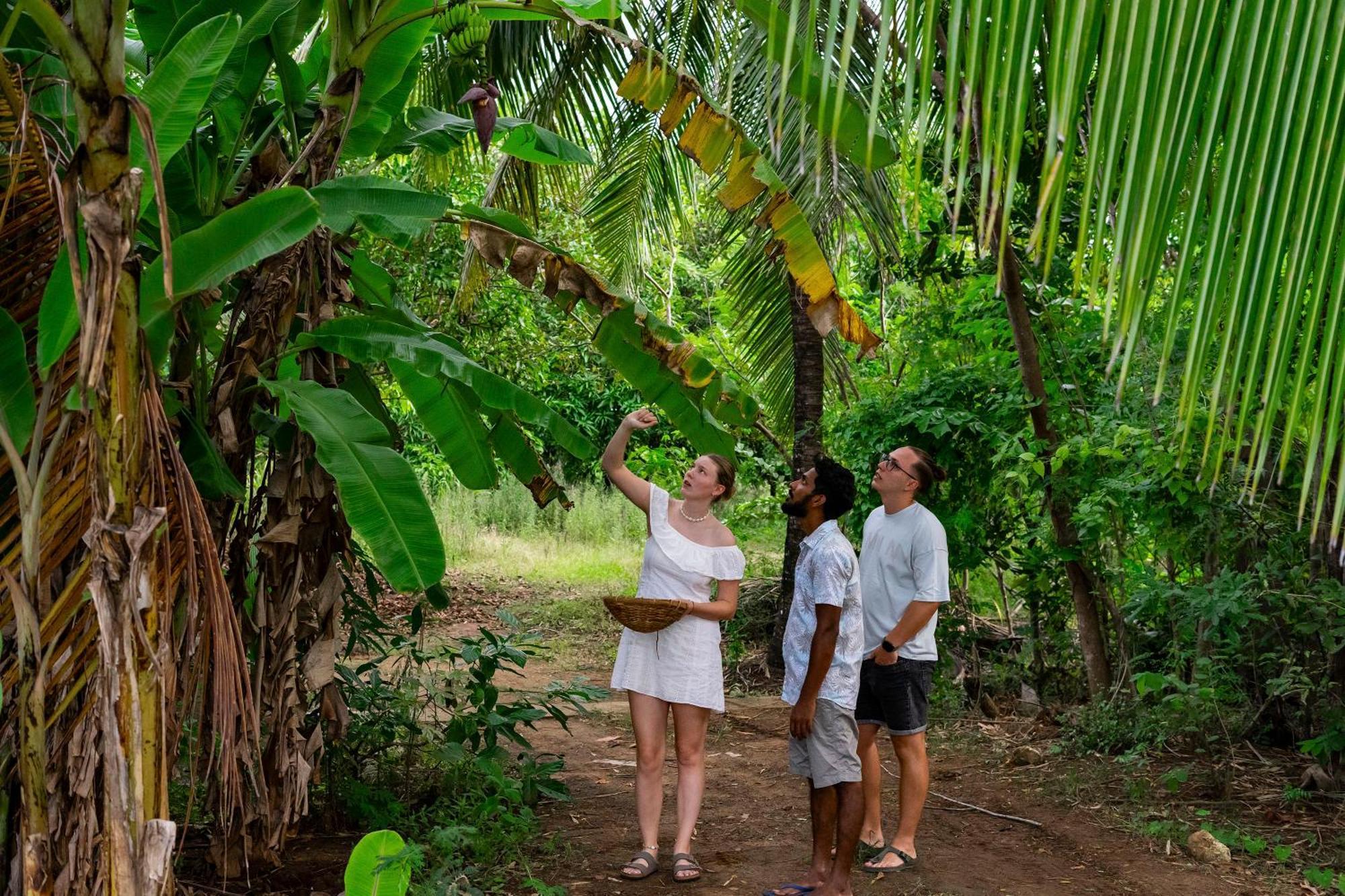 River Paradise Safari House With Cooking Class Udawalawe Ngoại thất bức ảnh
