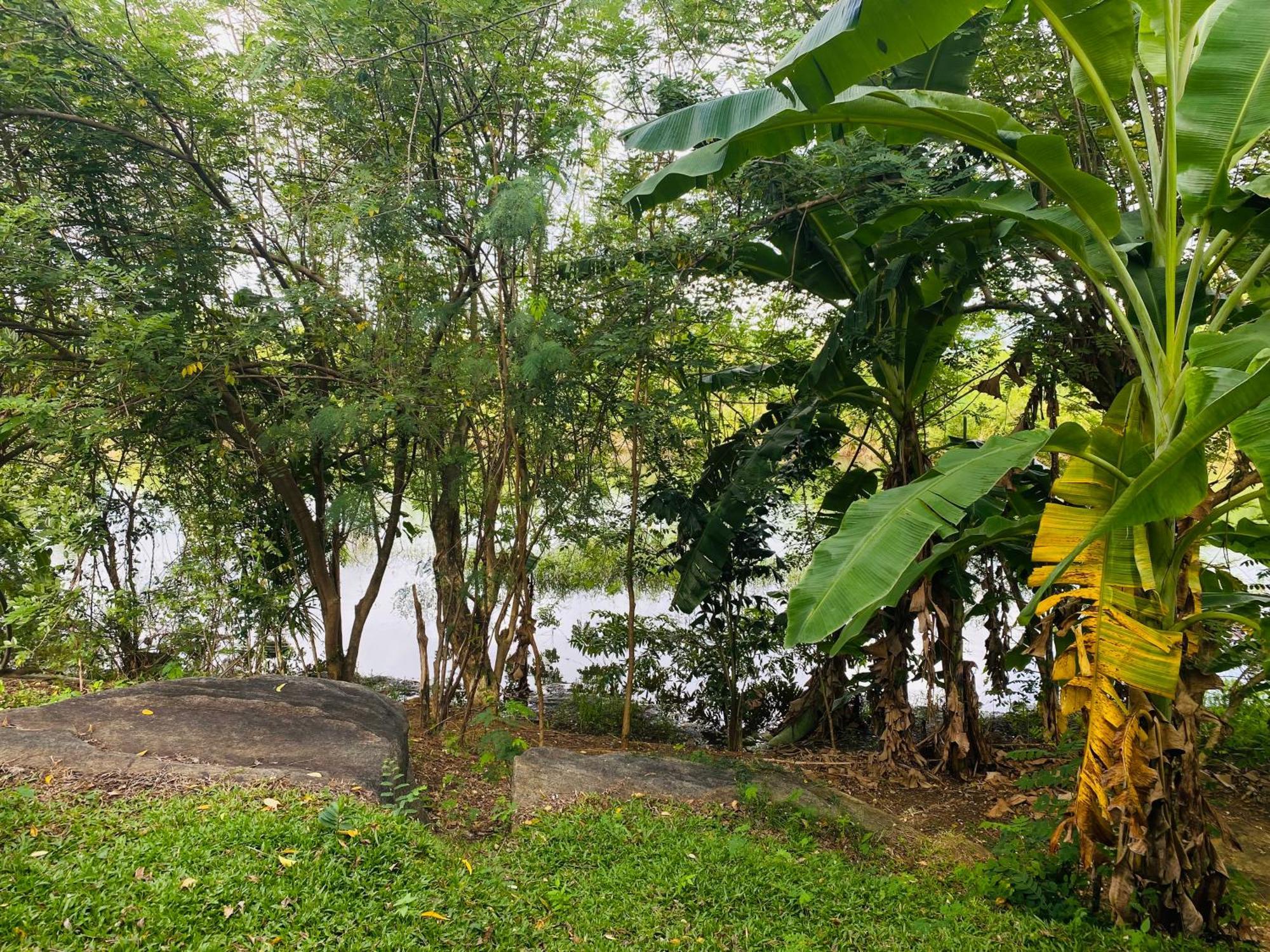 River Paradise Safari House With Cooking Class Udawalawe Ngoại thất bức ảnh