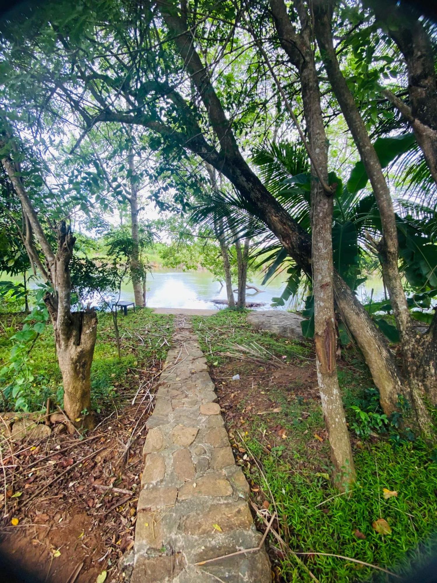River Paradise Safari House With Cooking Class Udawalawe Ngoại thất bức ảnh